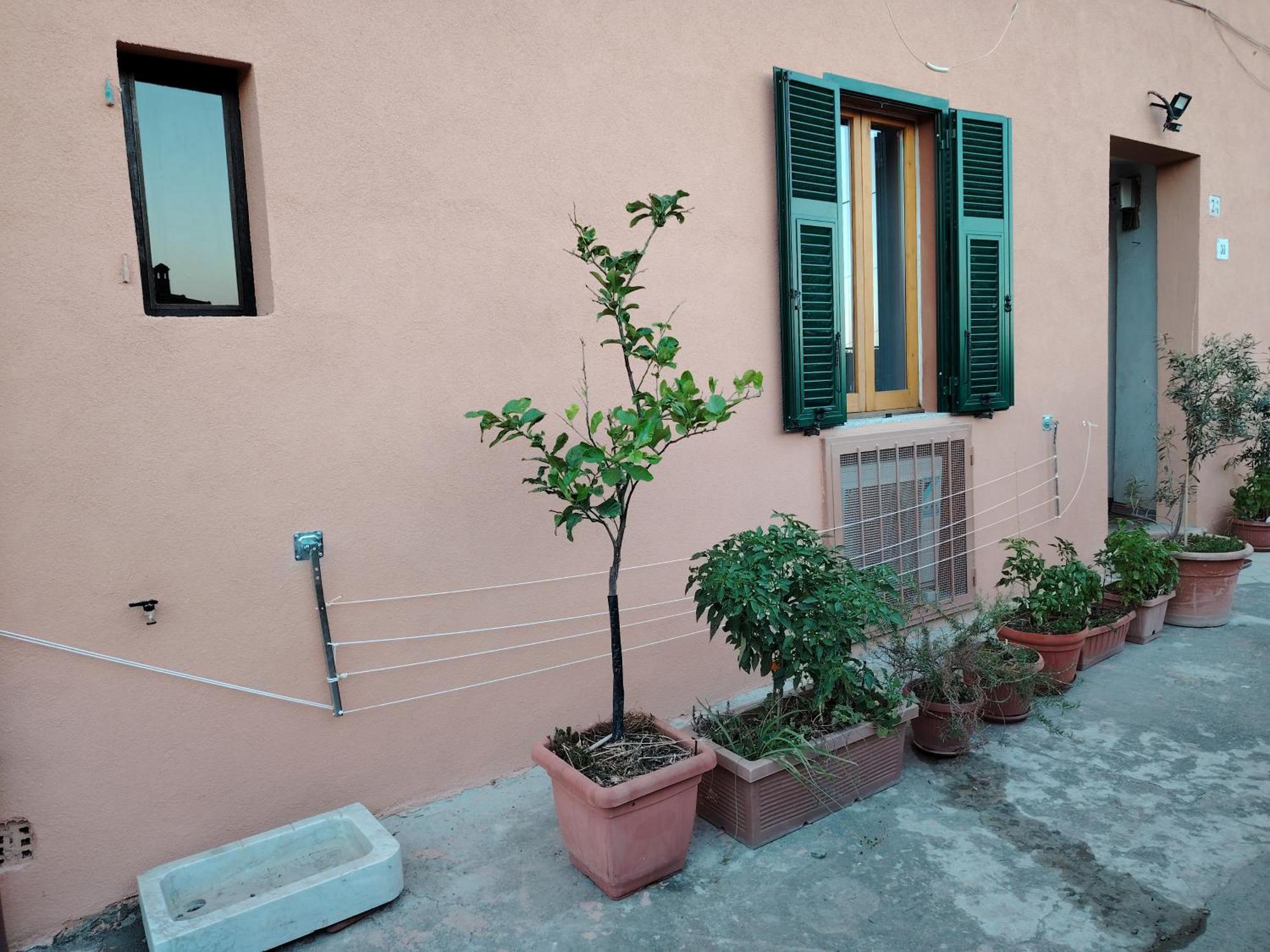 Pilarella Gallery Trilocale Vistamare Porto Santo Stefano  Eksteriør billede